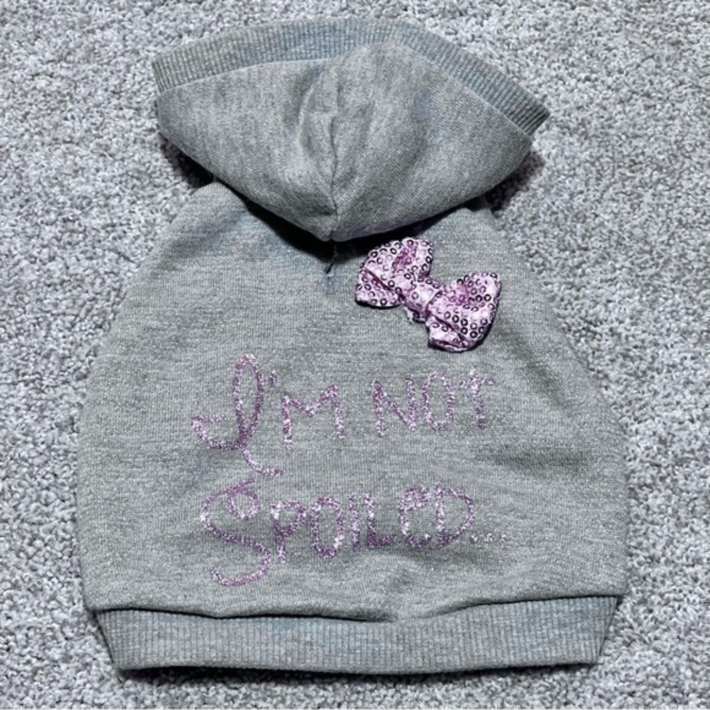Puppy sweatshirt “I’m not spoiled” with pink bow size XS